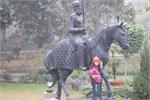 y_ranjit singh panorama